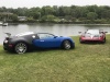 Thumbnail IMG_4211.JPG 